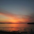 신안 태양광발전소 이미지