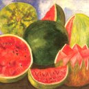 라비다(Lavida) 이미지