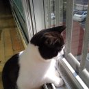 베스트동물병원 이미지