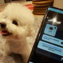 피터펫 논현점 이미지