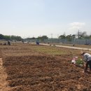 수원-1880 이미지