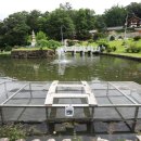 태안사계곡 이미지