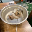 나와라요뽑기# 이미지