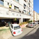 팔레스텔 이미지