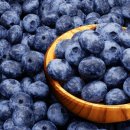 김영찬농장 이미지