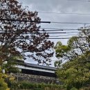 경성타이어 | 오호리 공원 내 <후쿠오카 시립 미술관>, 근현대 다양한 미술작품을 단돈 200엔에!(앤디워홀, 바스키아...