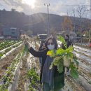 행복한 은혜농장 이미지