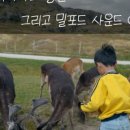 이야기사운드파크 네이버블로그