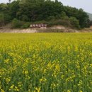 혁신도시축구장 이미지