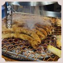 방배소곱창 - 성남시 분당구 하오개로 366-3 | 서판교 구워주는 소곱창 맛집 방배소곱창 내돈내산 솔직후기