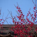 곡성(순천) 이미지