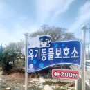 창원 웅천읍성 | 진해 북카페&amp;베트남음식 카페홍 맛집추천(코스추천: 웅천읍성-유기동물보호소-창원시농업기술센터)