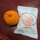 한중대학교 | 2-3. 자연에 이름 붙이기