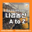 한국버섯농산