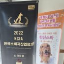 네임드 살롱 이미지