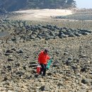 정임 - 유성구 대정로28번안길 25 | 정임