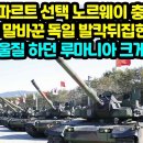 독 레오파르트 선택 노르웨이 충격근황 계약후 말바꾼 독일 발칵뒤집힌 이유 K2 저울질 하던 루마니아 크게 놀라 이미지