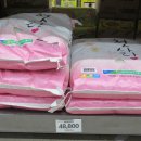 노브랜드진주충무공점 이미지