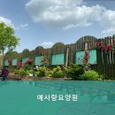 예사랑약국 이미지