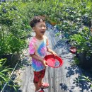 효준 농장 이미지