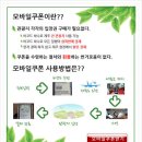 초원을 달리자 이미지