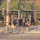 (주)페이스메이커 | [동탄 마라톤 클럽] 5km 타임트라이얼 페이스메이커 후기: 21분 언더 기록 달성 비결