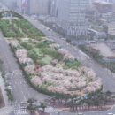 시청앞 미관광장 이미지