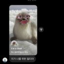 반뉴 | 안냐떼엽