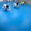 용인대 원 태권도장 이미지