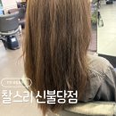 불당동물병원 | 천안 불당동 헤어클리닉 추천 | 찰스리 헤어 불당점 체험 후기