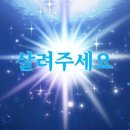 배타고