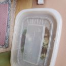 김밥먹는백설공주 이미지