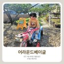 어라운드베이글 | 대구 가창 아이와 가볼만한곳: 논밭뷰가 그림 같은 어라운드베이글 (주차/반려동물동반/아이랑 방문 후기)