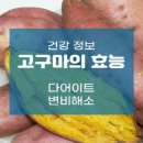 [곱게 변(變)하기 연습(練習)] / [고구마의 효능(效能) 및 먹는 방법(方法), 의학적(醫學的) 효능(效能)] 이미지