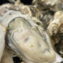 시점 민락점 | 의정부 민락2지구 굴찜 맛집, 내 마음속 1등집 통영굴찜이 짱