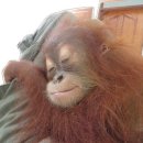 타이어맨 공단점 | 가을이 왔고