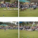 가족과 함께하는 문화체험(3월) | 안성 팜랜드 완전 정복(2026년 3월 28일 다녀온 후기) – 자연·동물·체험