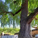 낙동 운평리 이미지