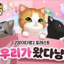 고양이다방 이미지