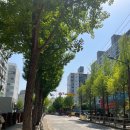 방이역에서5분거리 입지 최고 - 방이코오롱아파트