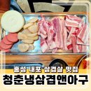 일품냉삼겹 | 홍성삼겹살 맛집 청춘냉삼겹앤아구 방문 후기