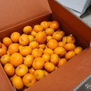 오서방네 농장 이미지