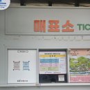 (유)문경시중앙시장 | 문경 에코월드 + 오미자 테마 터널 후기