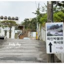 종로꽃조경