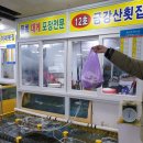 봉포활어회센터 이미지