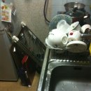 영하우스 이미지