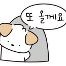 마실짱호프 이미지