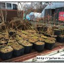 미루농원 이미지