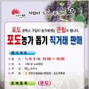 [전주] 포도농가 돕기 직거래장터 개설 이미지