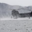 365 출입국 행정사 이미지